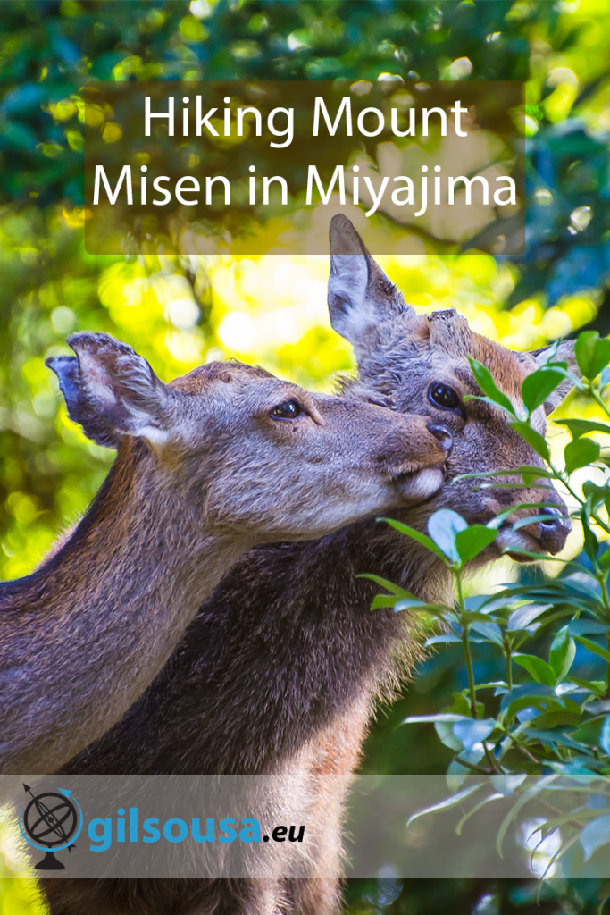 Hiking Mount Misen in Miyajima