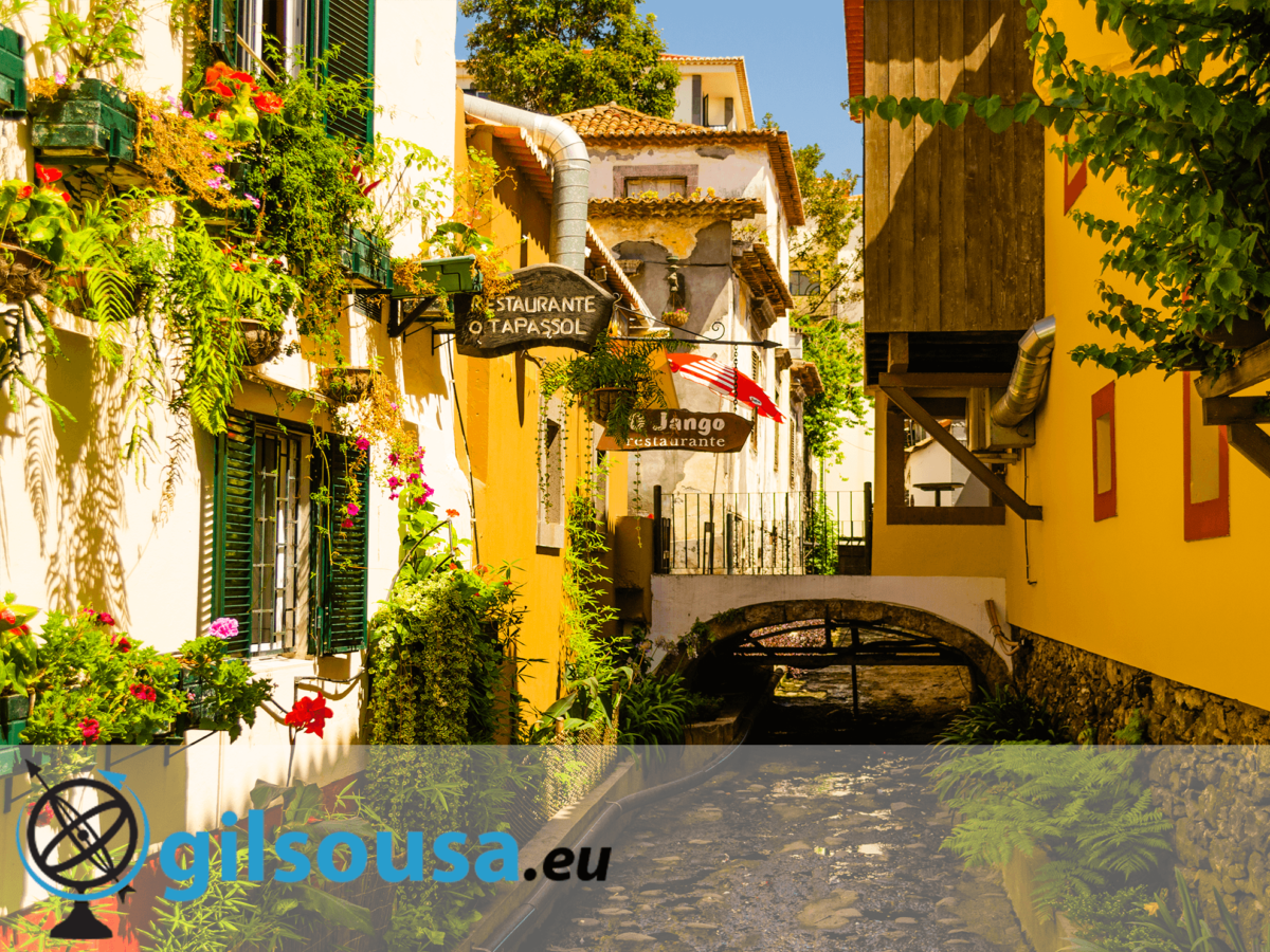 Getting to know a bit of Madeira Island