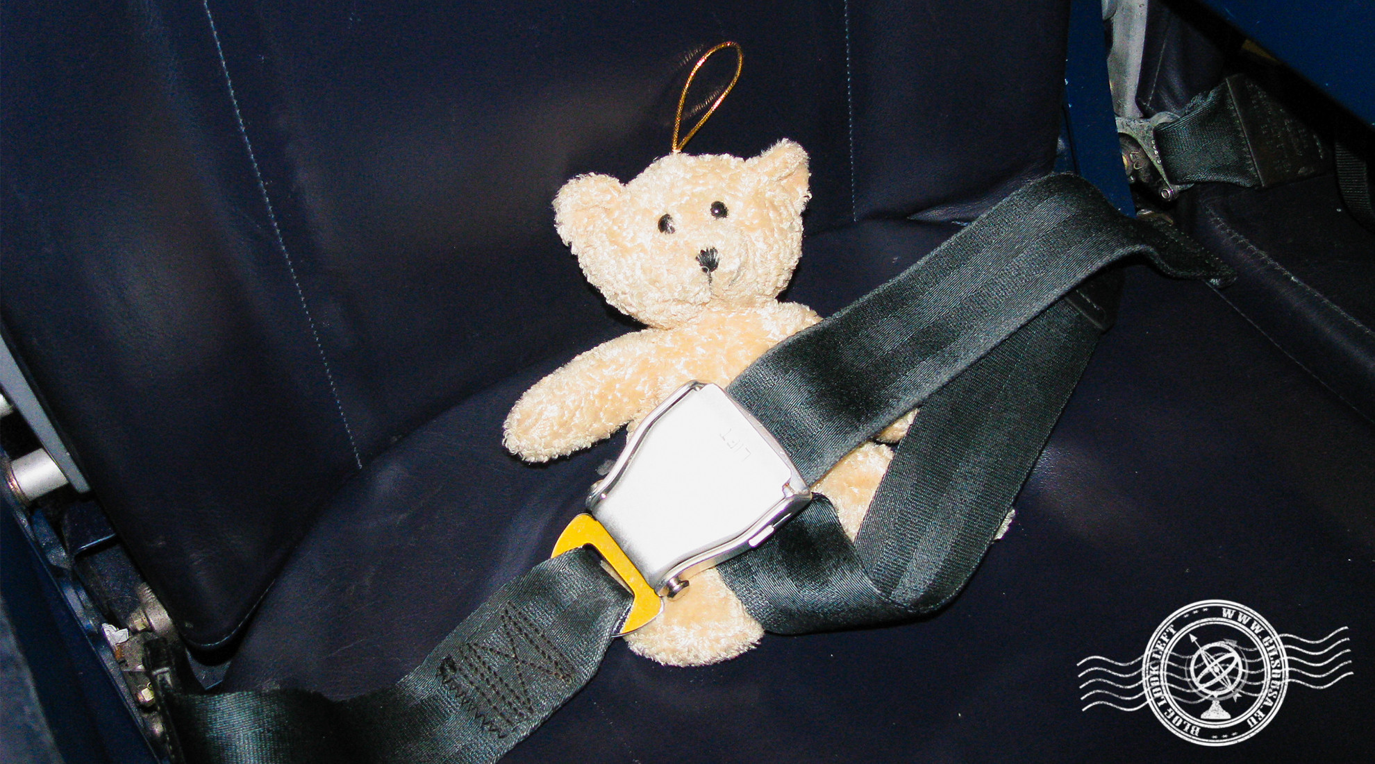 Teddy Bear ready for departure