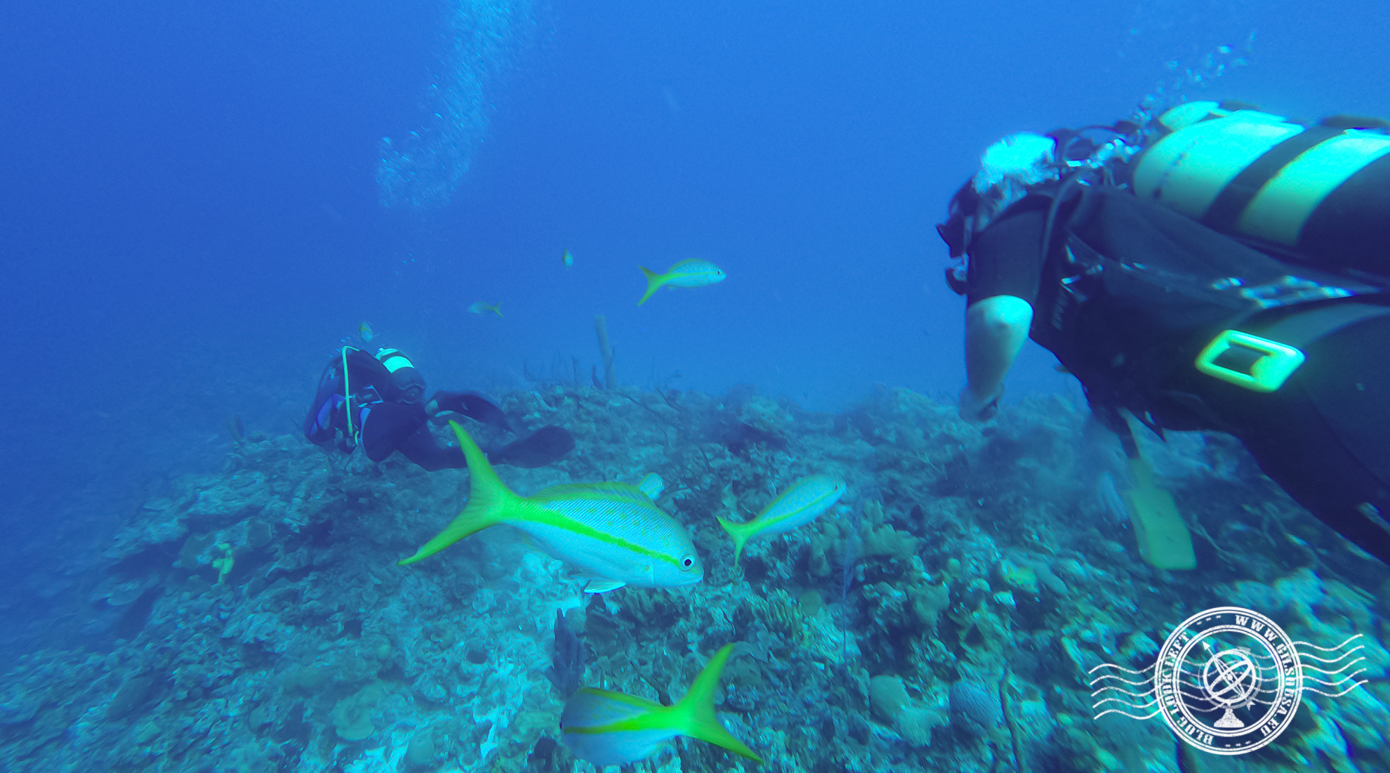 Mergulho em Playa Girón, usando a GoPro Hero 4 Black