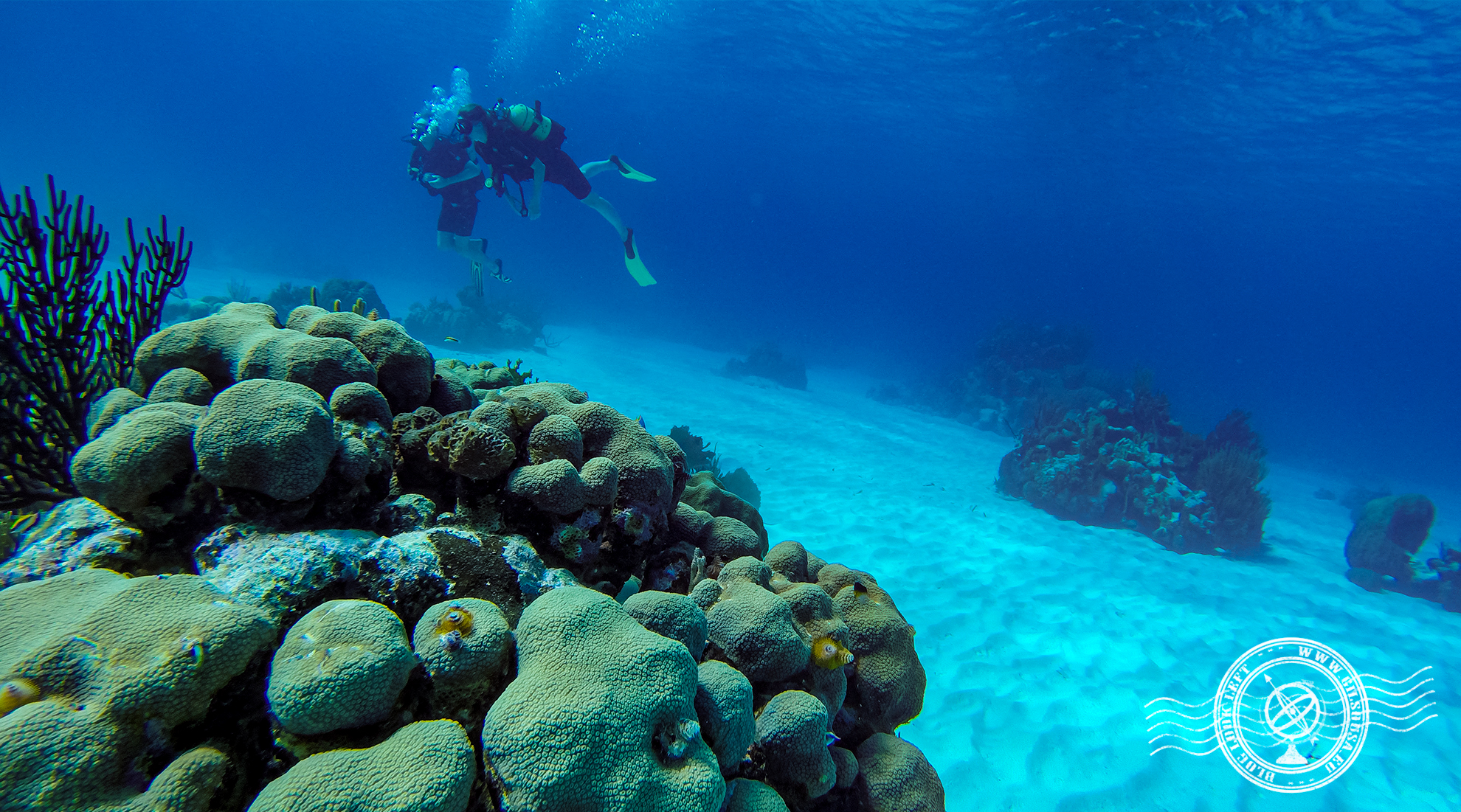 First dive in Punta Perdiz